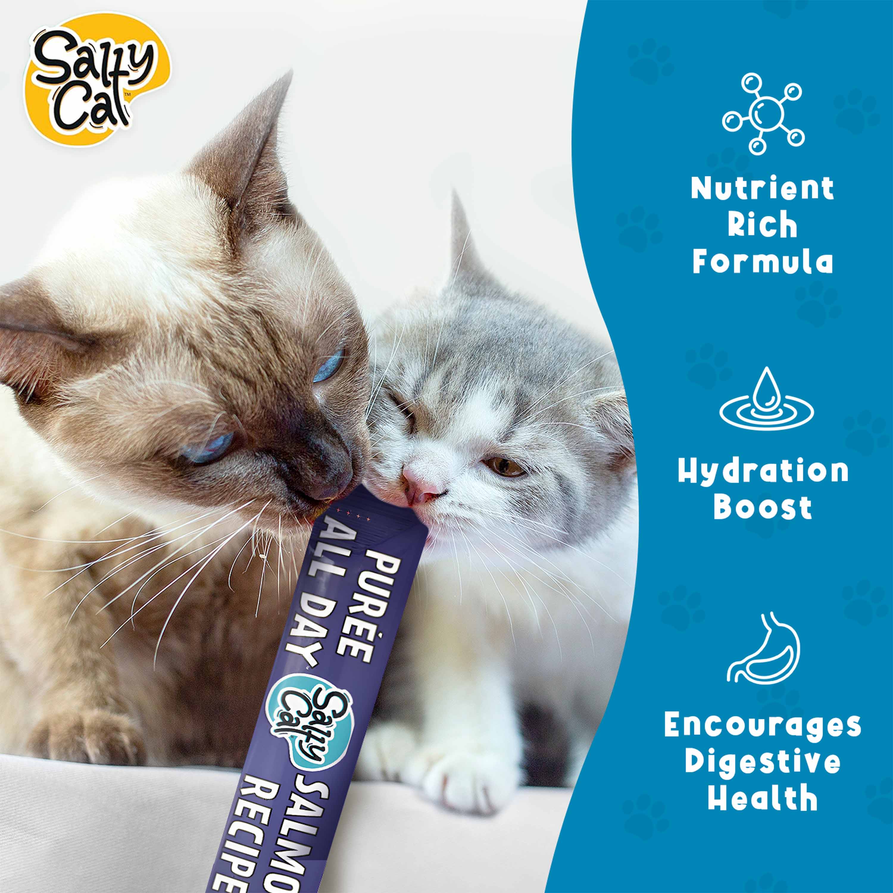 Salty Cat Purée All Day Natural Creamy Salmon Tube Treats for Cats, 15g x 48 Tubes - Image 12