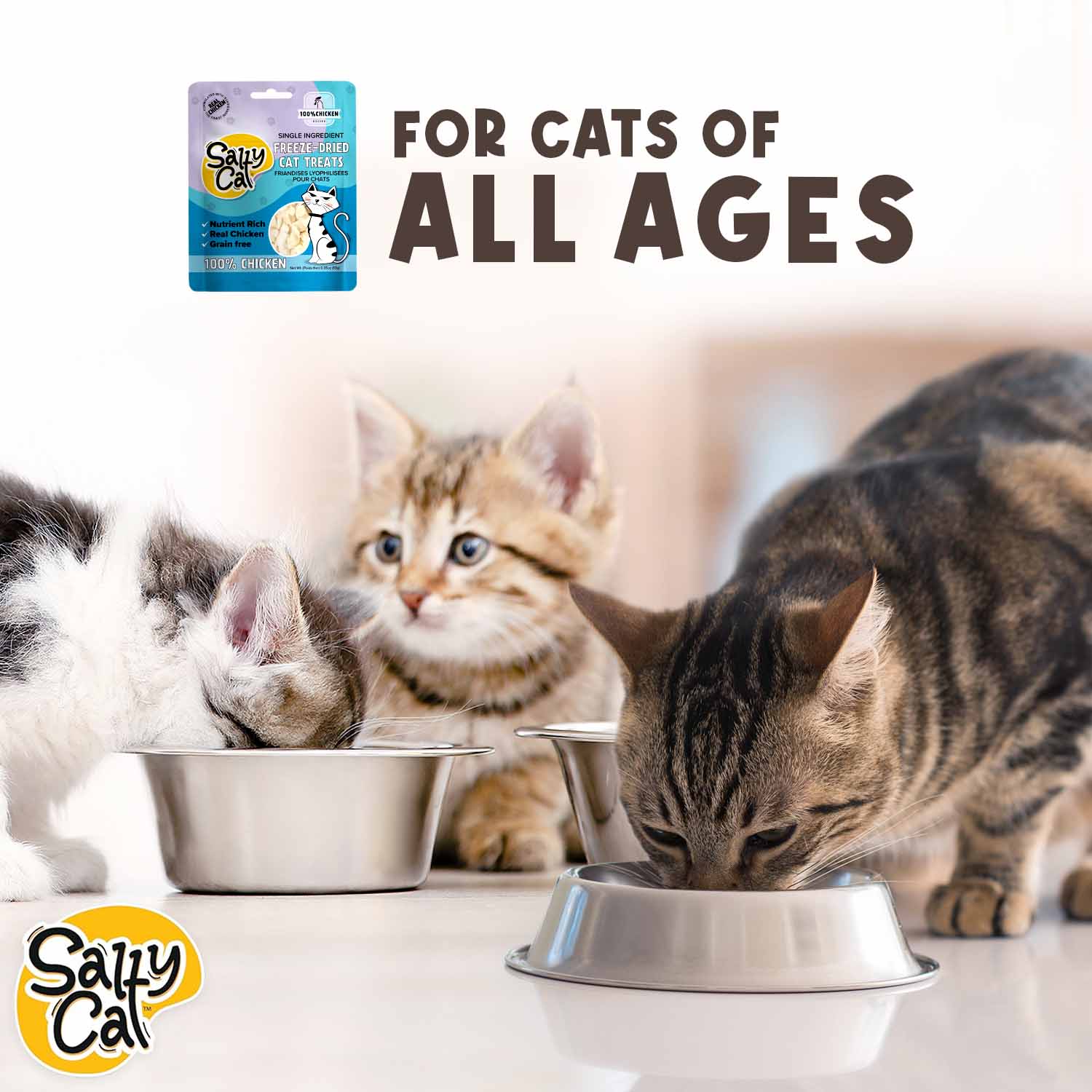 Salty Cat Natural Freeze-Dried Chicken Cat Treats, 10g Bag (12-Pack) - Image 13