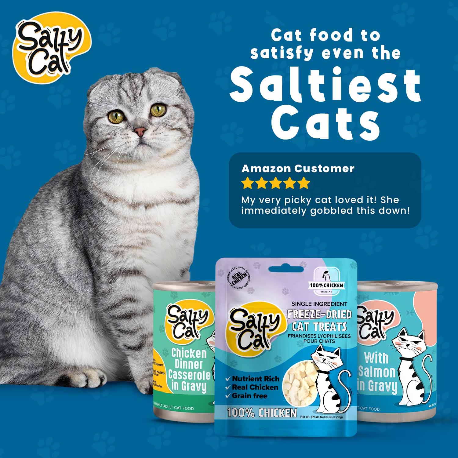 Salty Cat Natural Freeze-Dried Chicken Cat Treats, 10g Bag (12-Pack) - Image 14