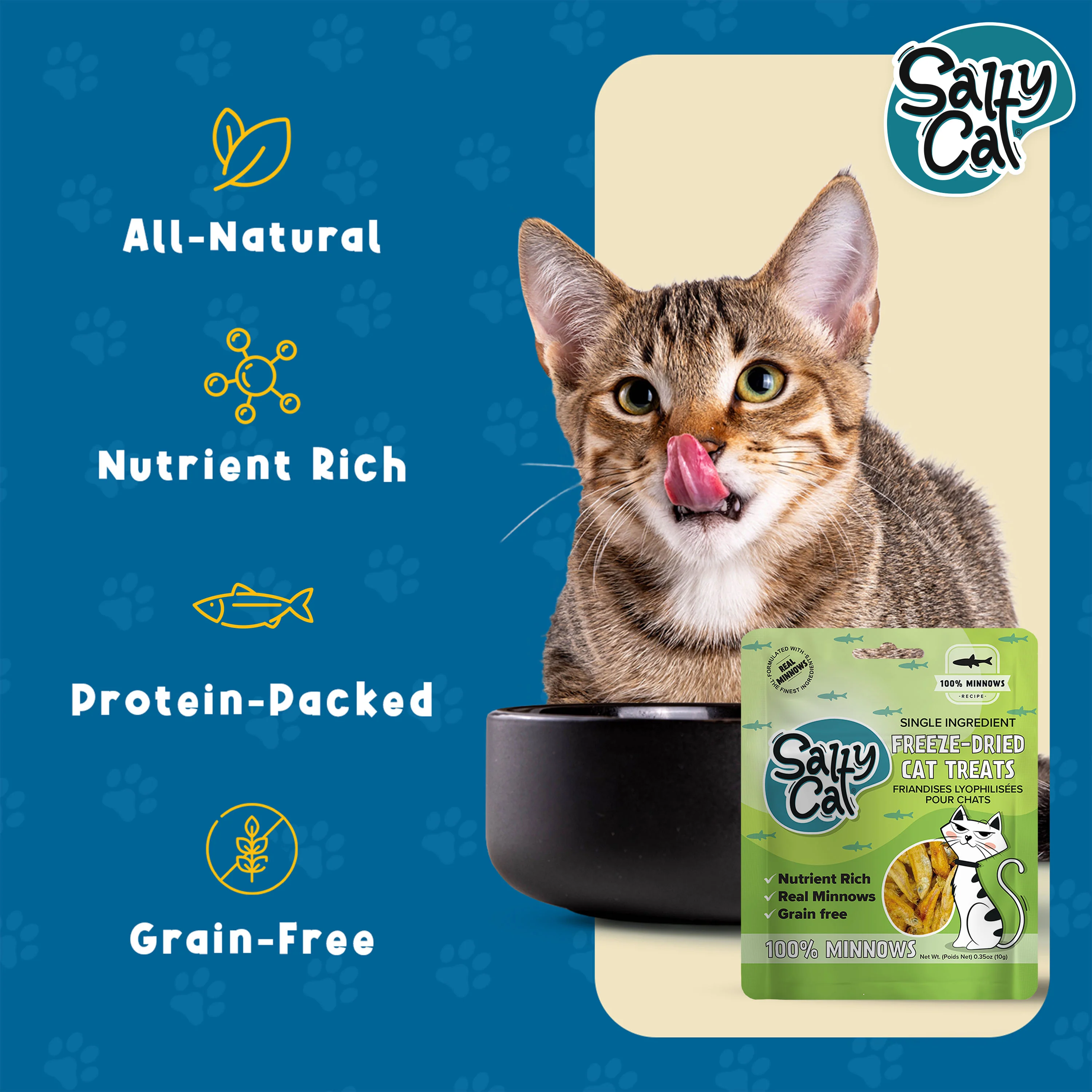 Salty Cat Natural Freeze-Dried Minnow Cat Treats, 10g x 12 Bags - Image 11