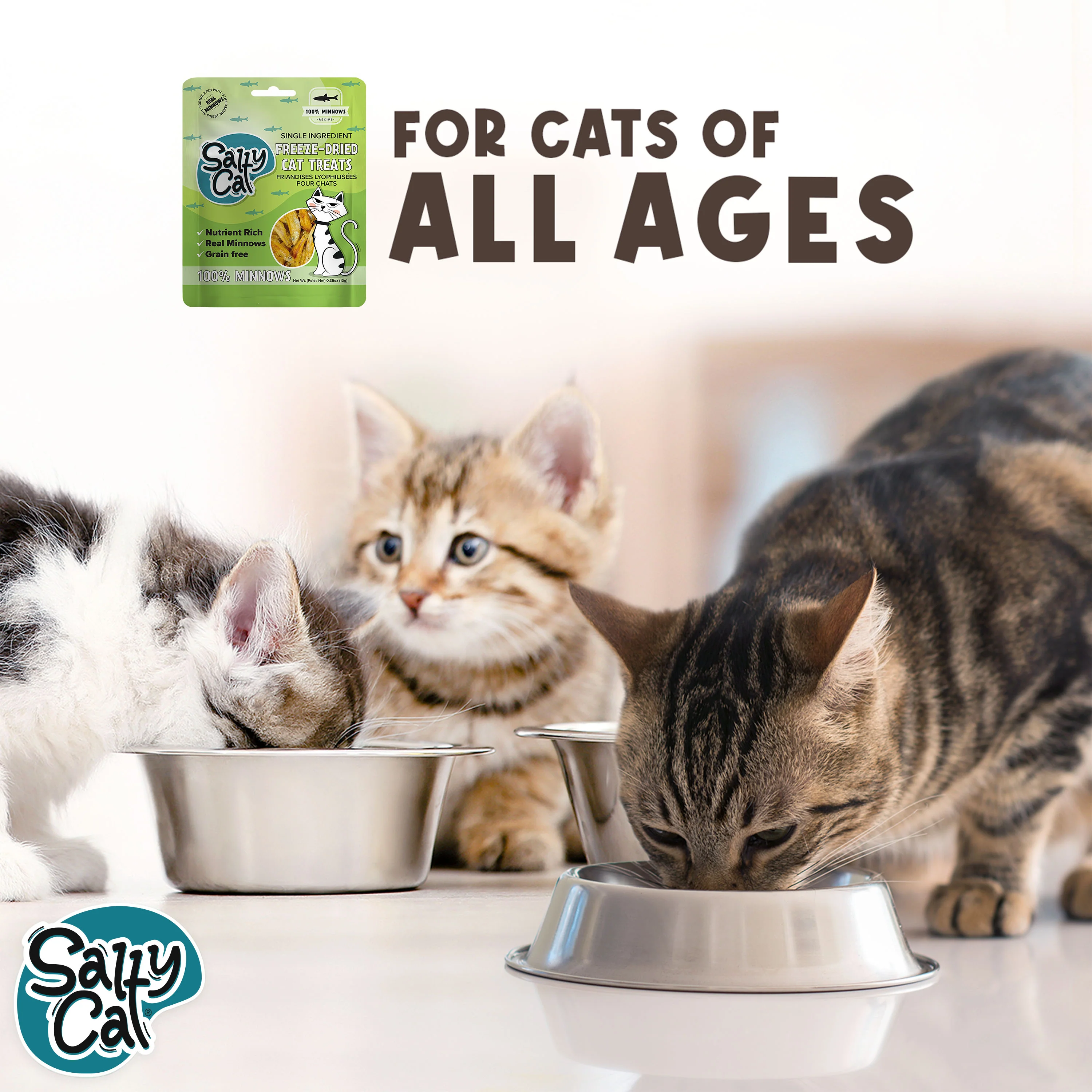 Salty Cat Natural Freeze-Dried Minnow Cat Treats, 10g x 12 Bags - Image 12