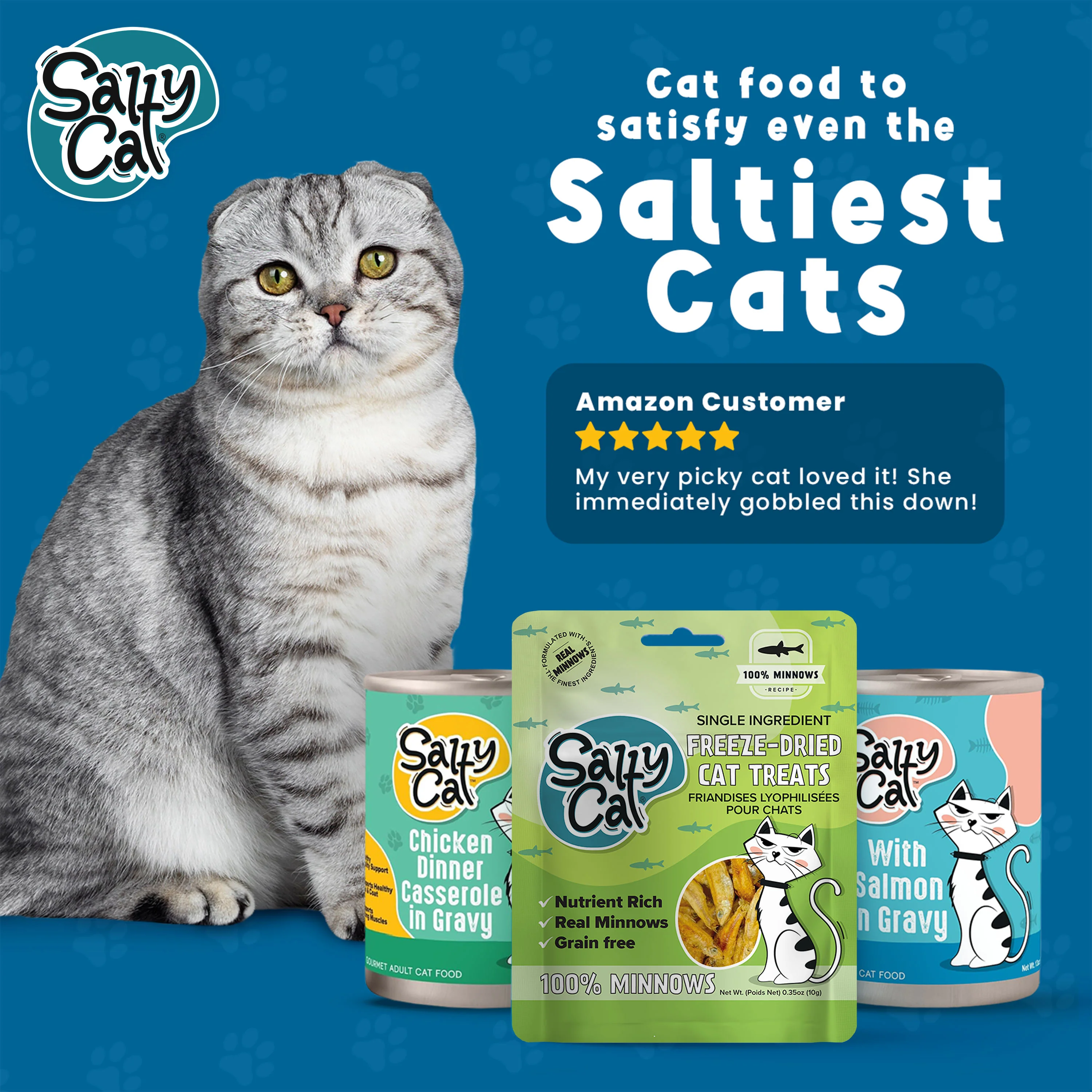 Salty Cat Natural Freeze-Dried Minnow Cat Treats, 10g x 12 Bags - Image 13