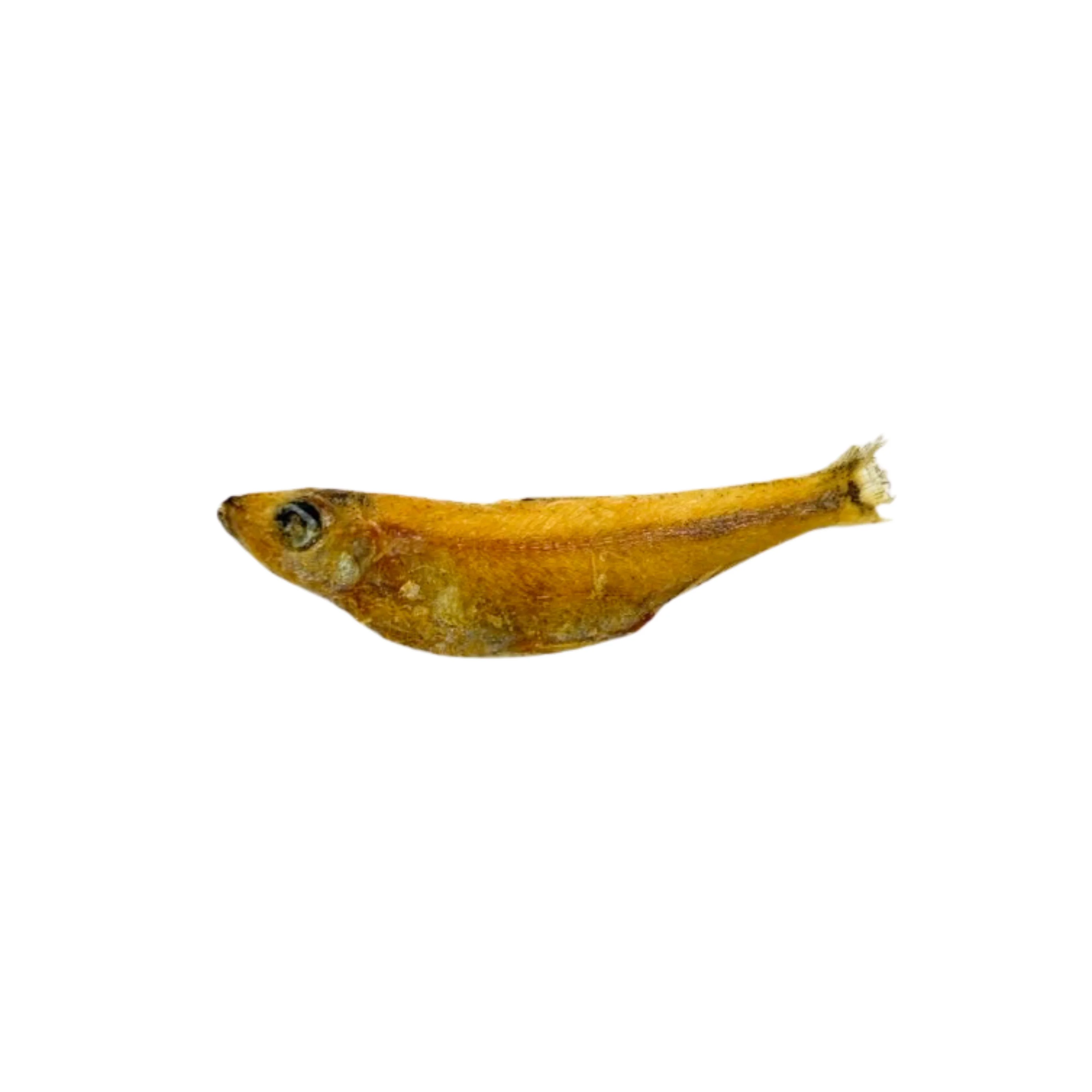 Salty Cat Natural Freeze-Dried Minnow Cat Treats, 10g x 12 Bags - Image 9