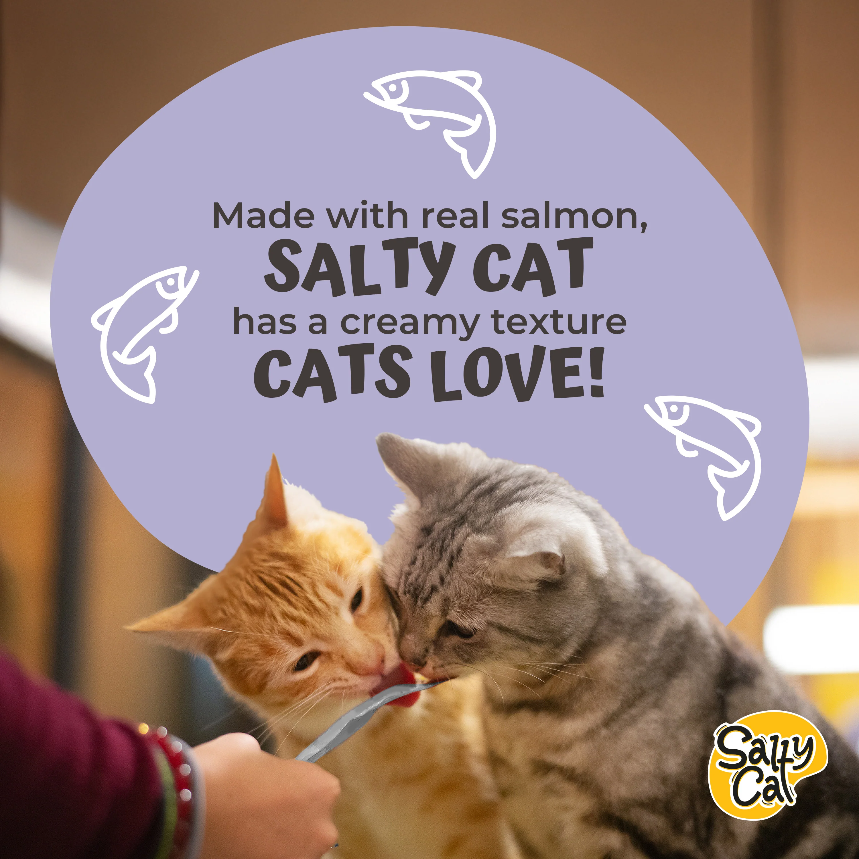 VitaCat by Salty Cat Silky Skin & Coat Natural Creamy Tuna & Blueberry Functional Tube Treats for Cats, 15g x 48 Tubes - Image 10